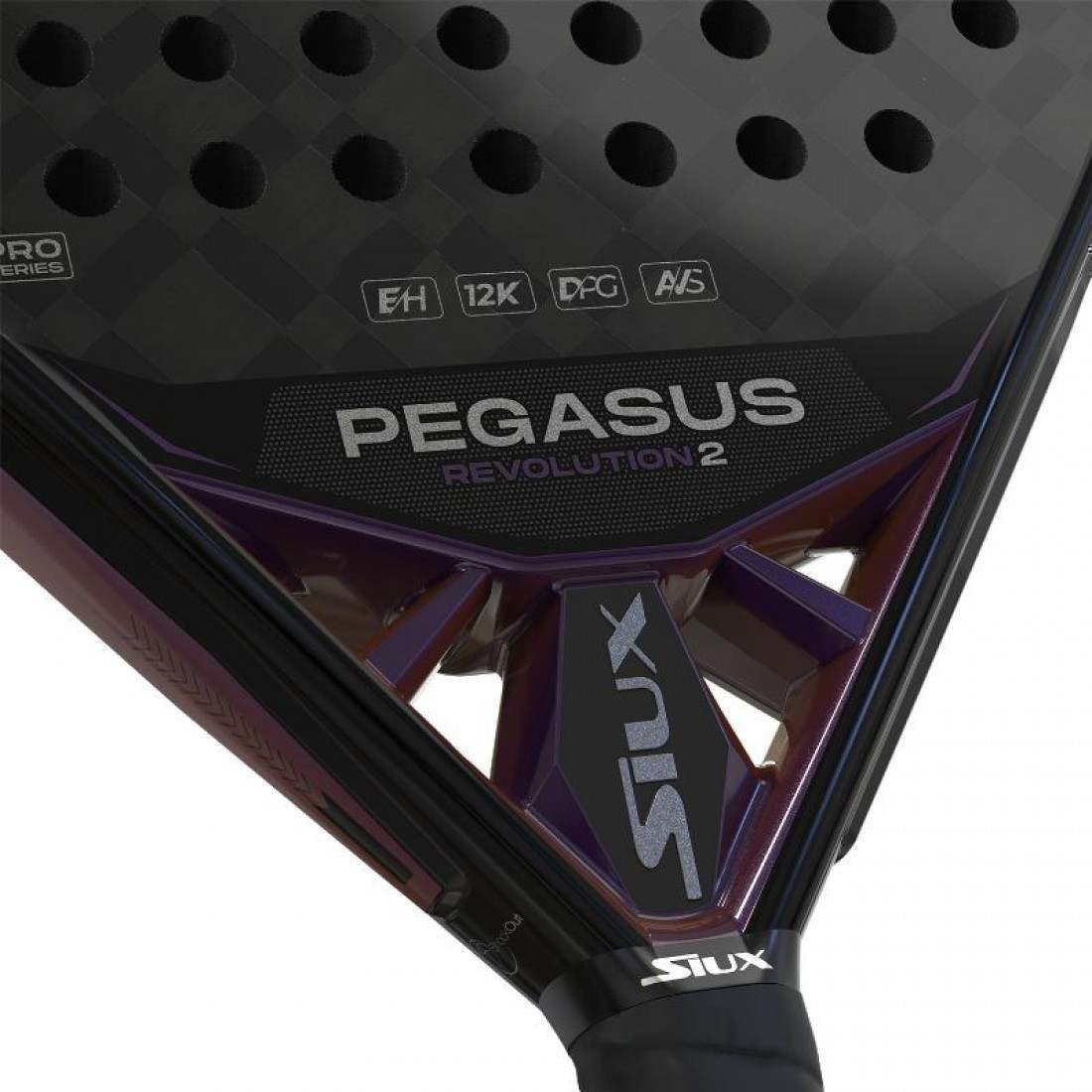 Siux Pegasus Revolution 2 2024