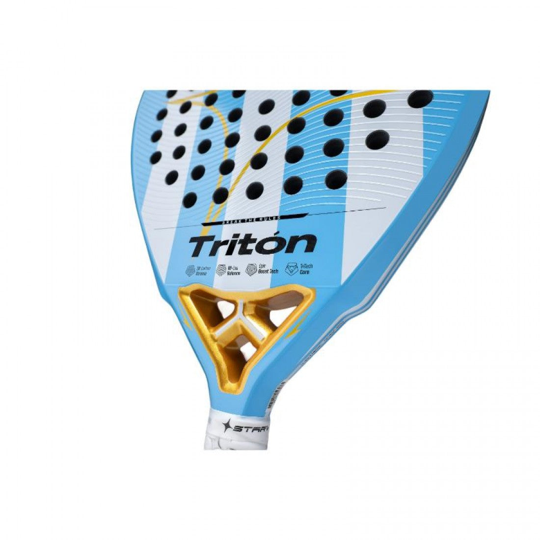 StarVie Triton Argentina 2026 LTD