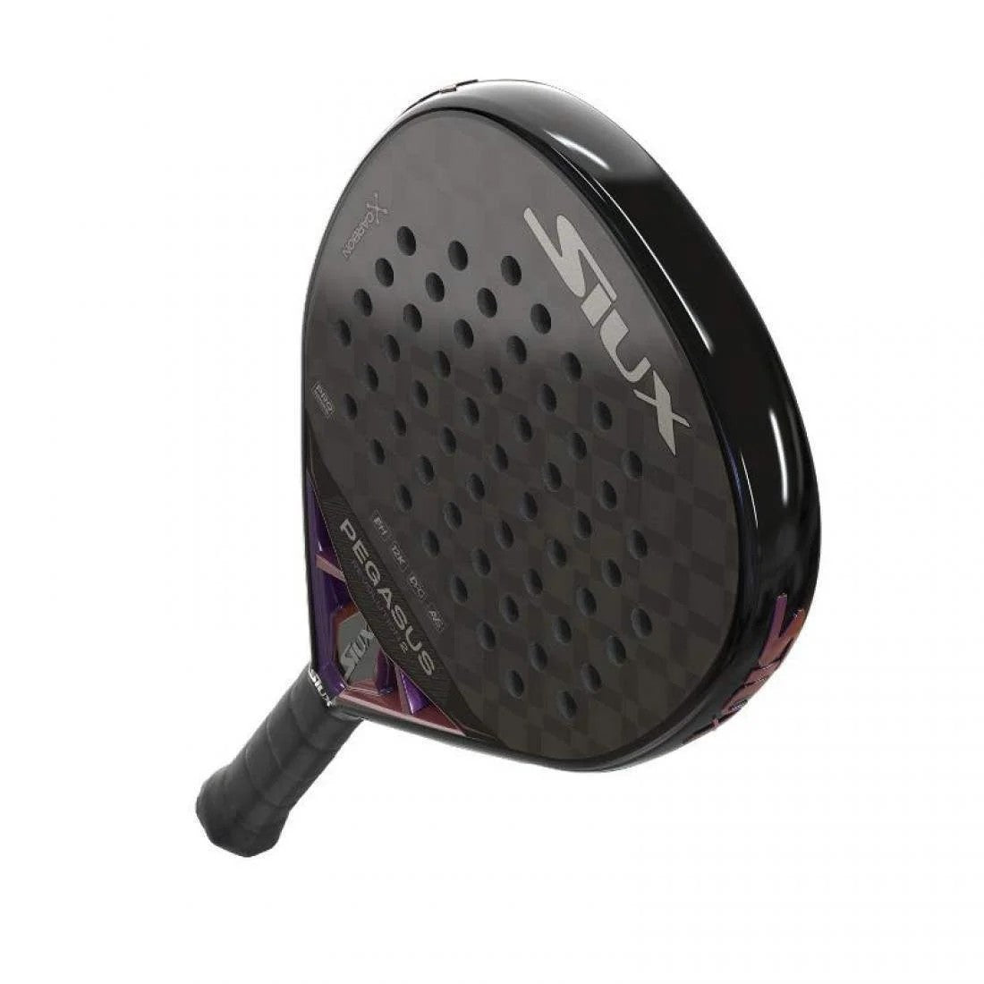 Siux Pegasus Revolution 2 2024